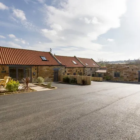 The Old Cutter Shed Daire Whitby